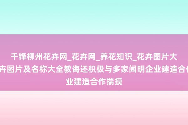 千锋柳州花卉网_花卉网_养花知识_花卉图片大全_花卉图片及名称大全教诲还积极与多家闻明企业建造合作揣摸