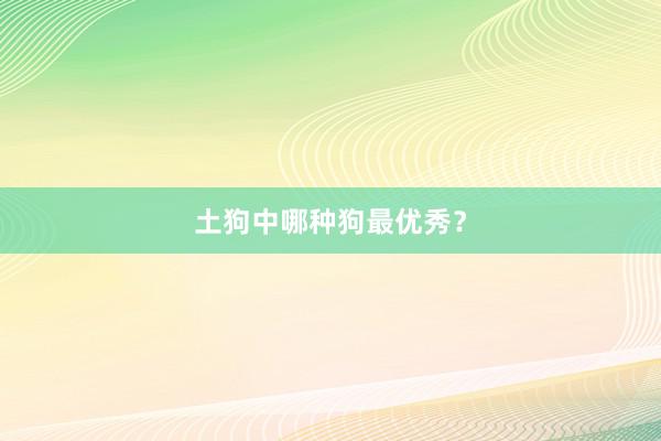 土狗中哪种狗最优秀？