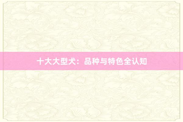 十大大型犬：品种与特色全认知
